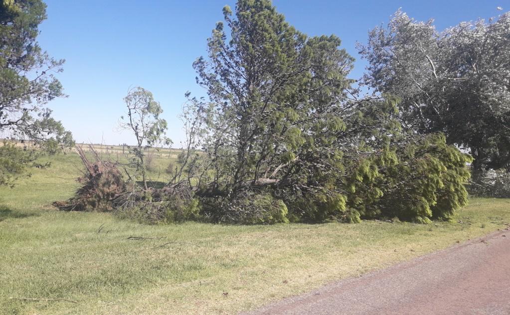 TORMENTA EN LAGOS 075 (FILEminimizer)