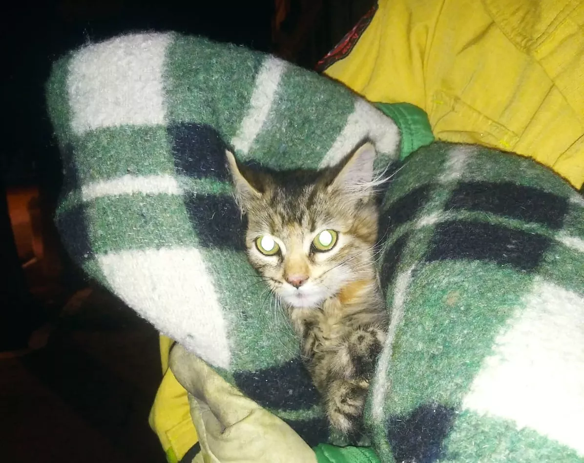 9602a0f4-d2ba-4cc7-bcf8-232164483bf9