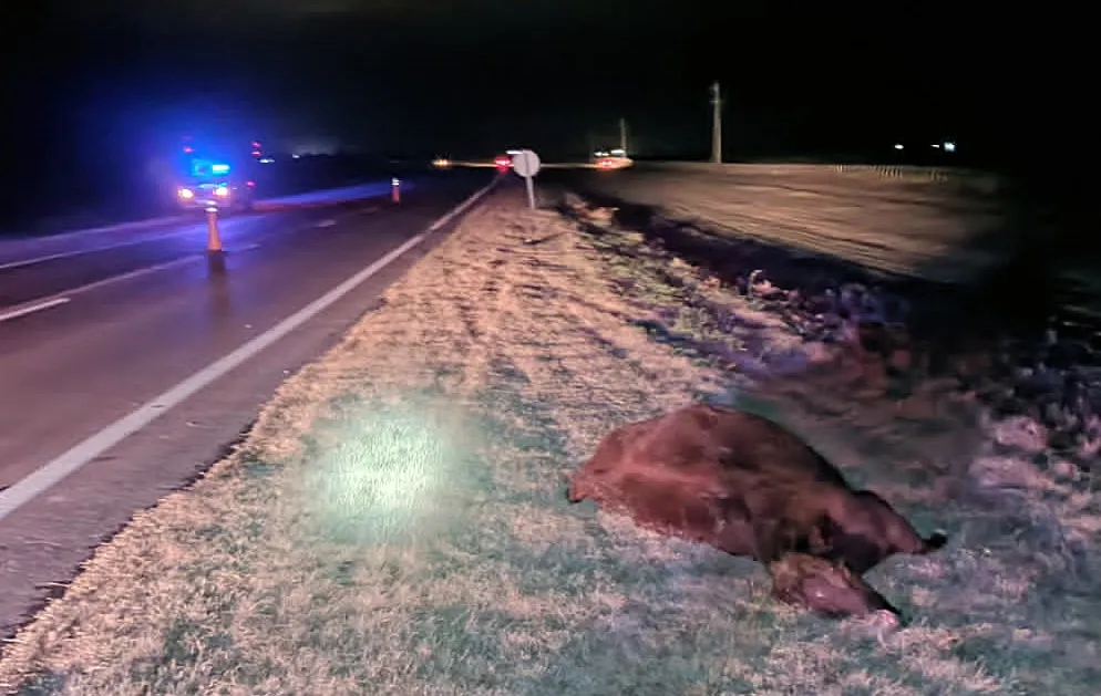 c4535557-84ba-46a2-9909-f4bfabf0b1e0