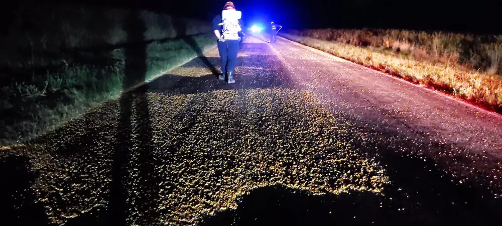 0bea0fb5-1819-4a13-9d1f-3a593496b2ef