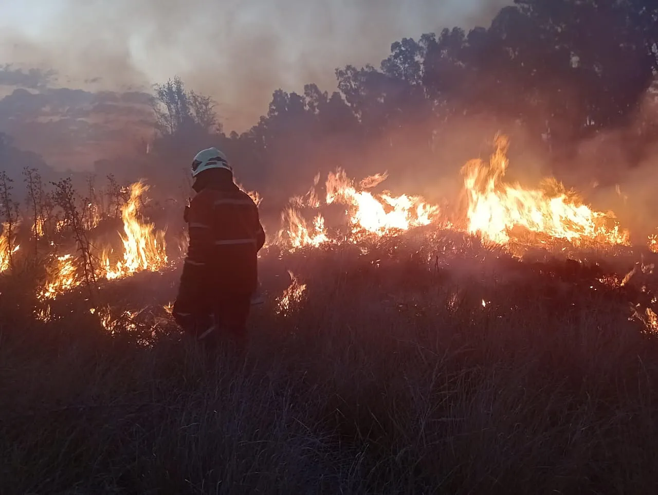 8b51dbe9-be53-4e9b-85ae-b93739c76f9f