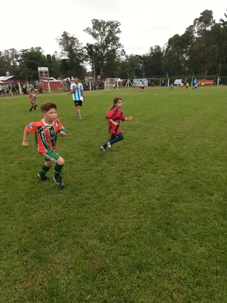 884d3c78-f45b-4e5f-9d25-bd122b3fce74