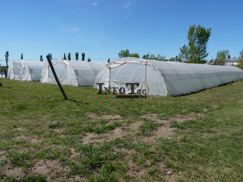 P1280322 (FILEminimizer)