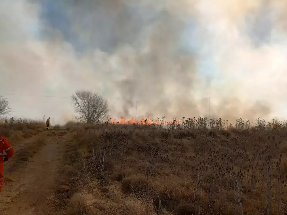 fe2b45e2-4384-44e5-928b-a1372bf96e9f