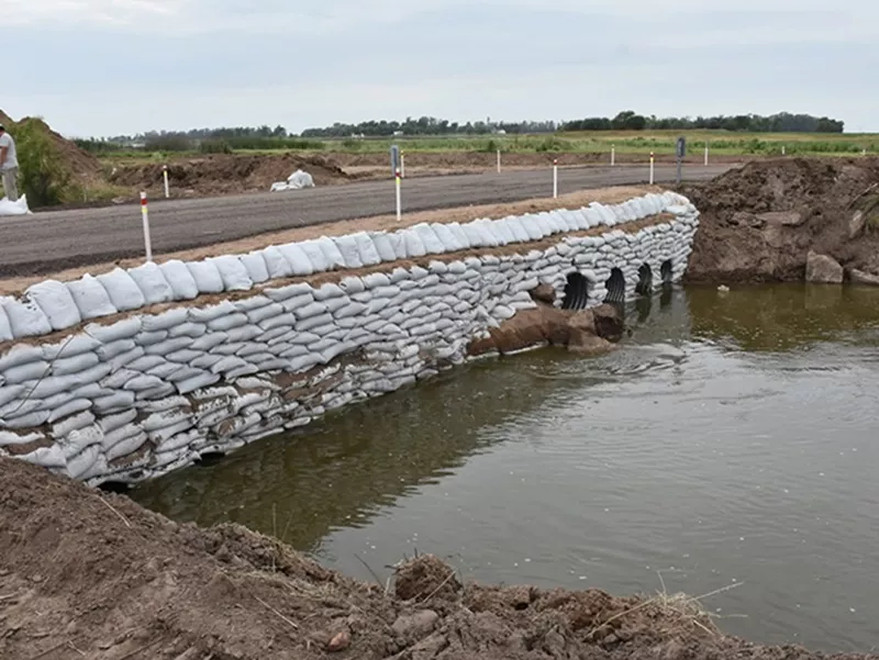 paso-cuero-de-zorro-2