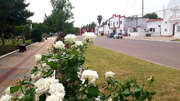 FB_IMG_1573260525675