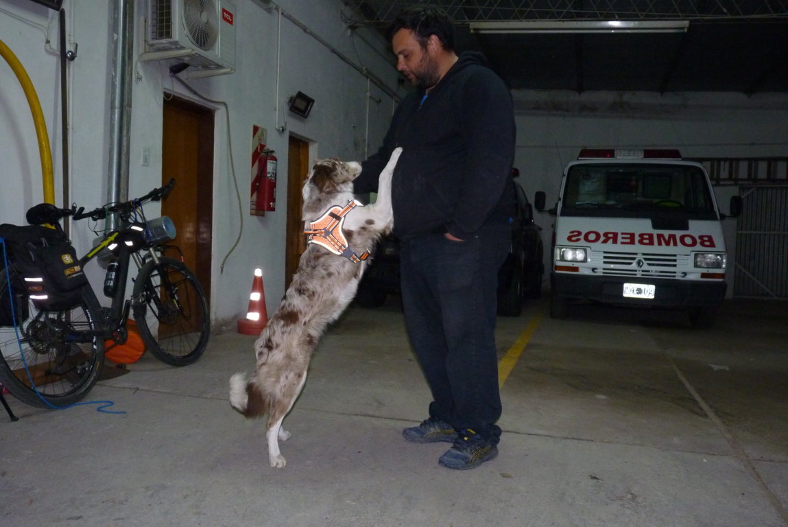 P1390683 (FILEminimizer)