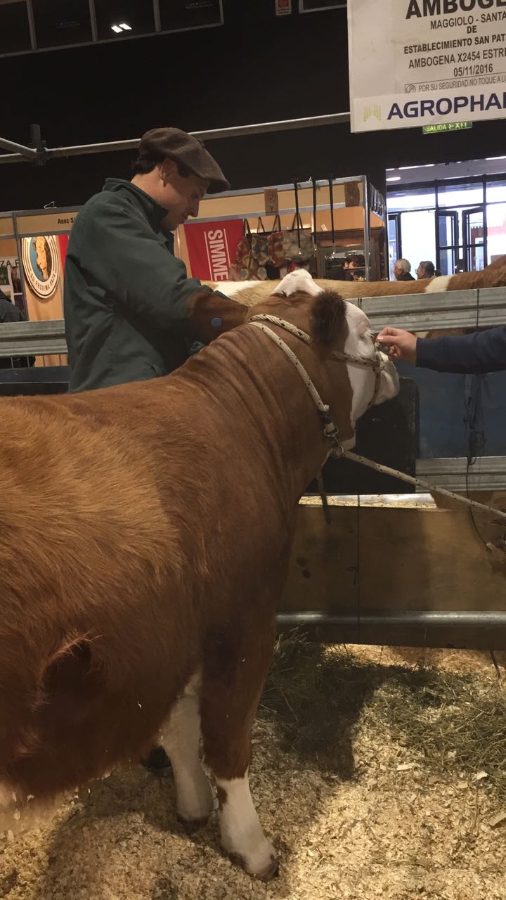 47c3f836-9325-4897-bf8b-fef095d0aabe