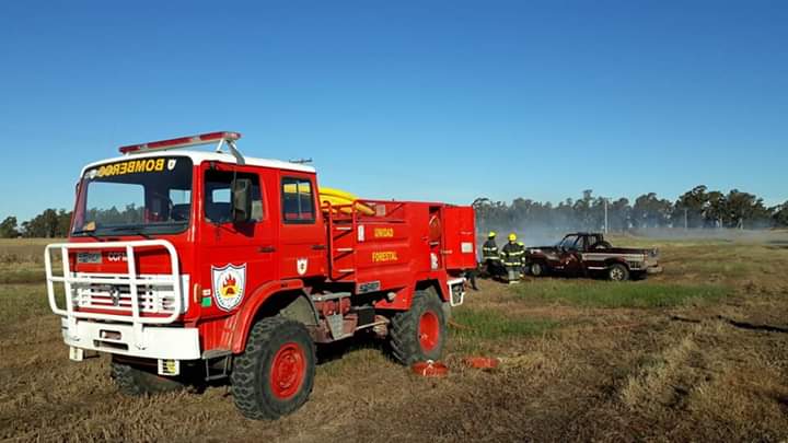 FB_IMG_1560025035417