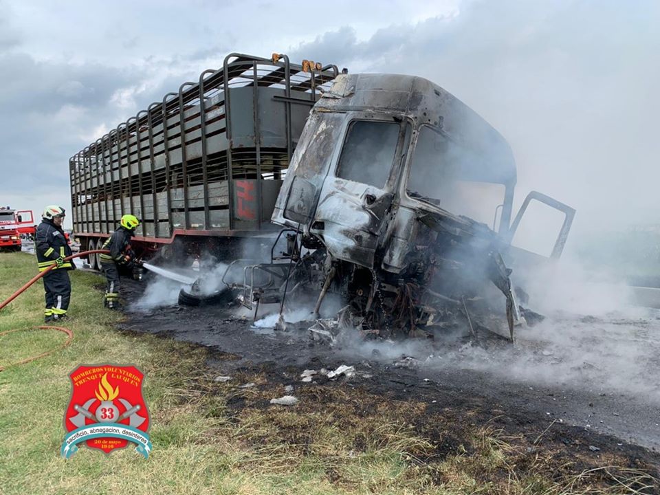 84601127_10162859592350332_7427373866520936448_o