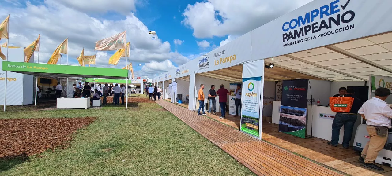 150962_img-20220310-wa0021