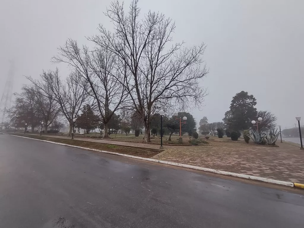 IMG_20210708_114913490_HDR (FILEminimizer)