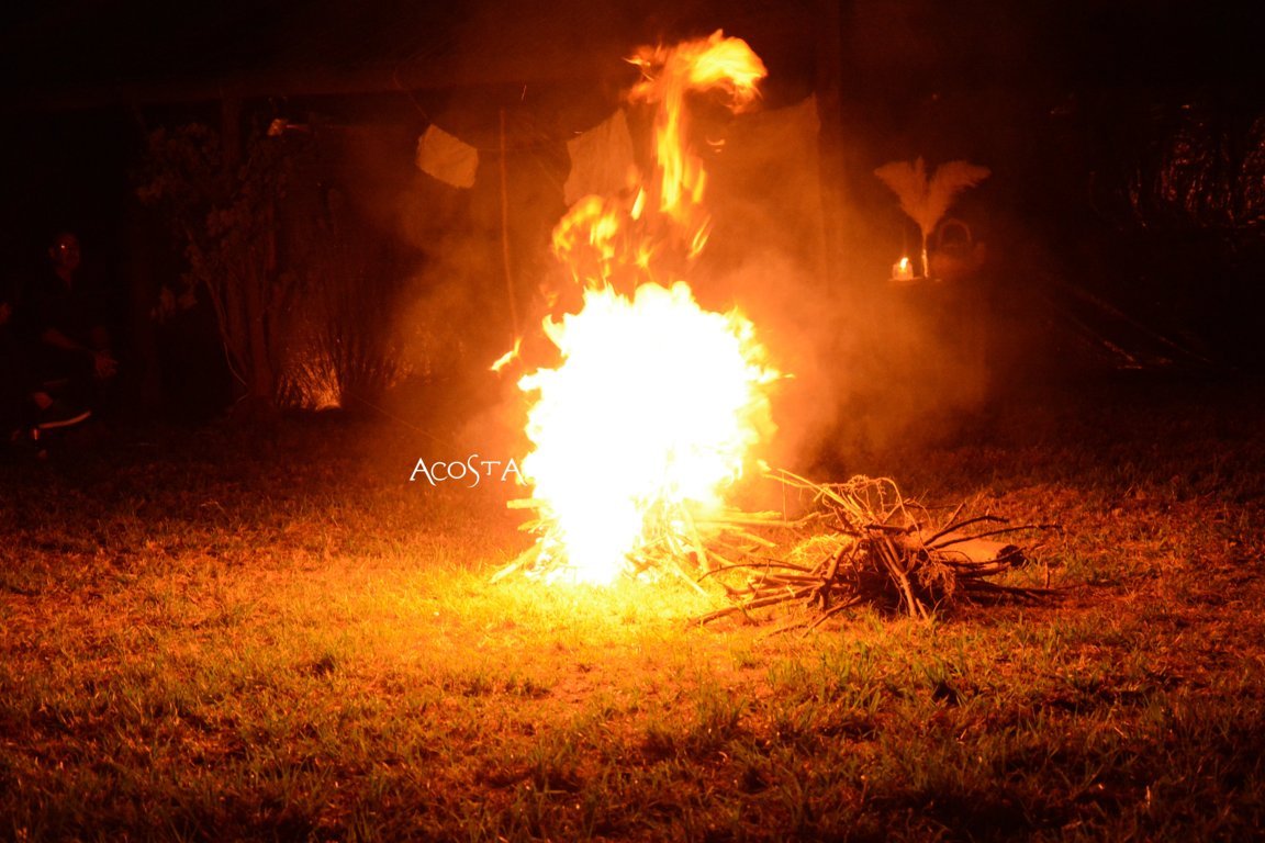 DSC_3460 (FILEminimizer)