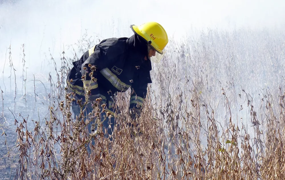 incnedio cosechadora pacho 12 (FILEminimizer)