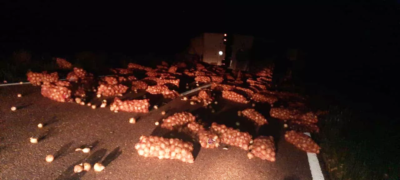 267577907_10225596759299440_8101680762902658113_n