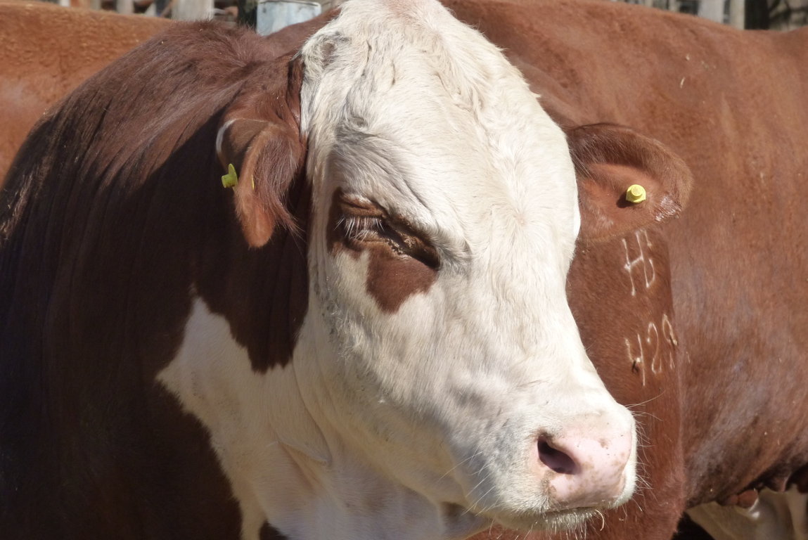 P1410690 (FILEminimizer)