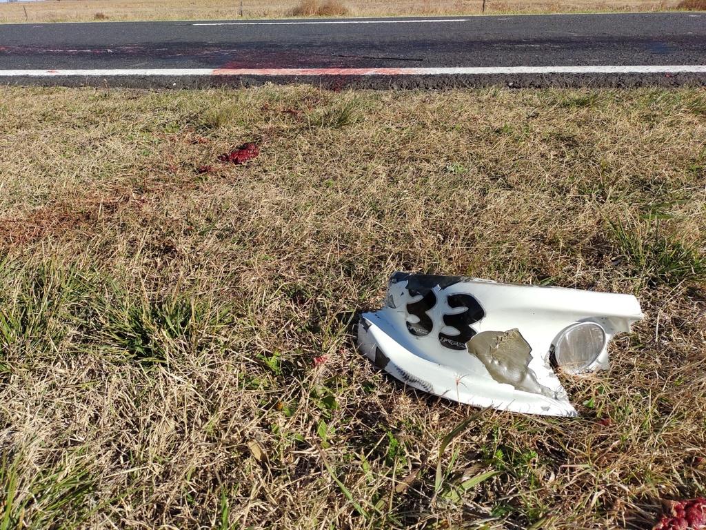 IMG_20210611_112806858 (FILEminimizer)