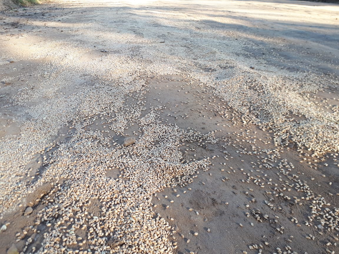 c37ac5ac-da9d-49e2-a0a4-72a04516a56f