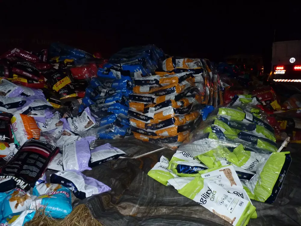 P1170664 (FILEminimizer)