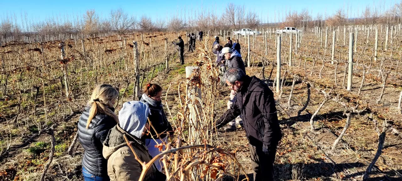 247333_img-20220811-wa0055