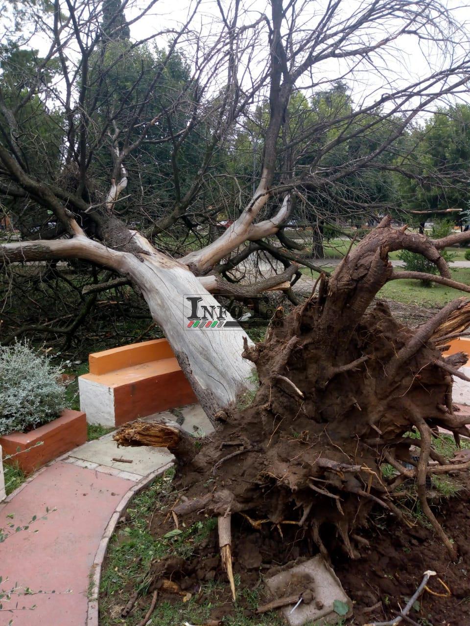 56d71e79-66f9-4aa5-8625-e6b9c42f87be