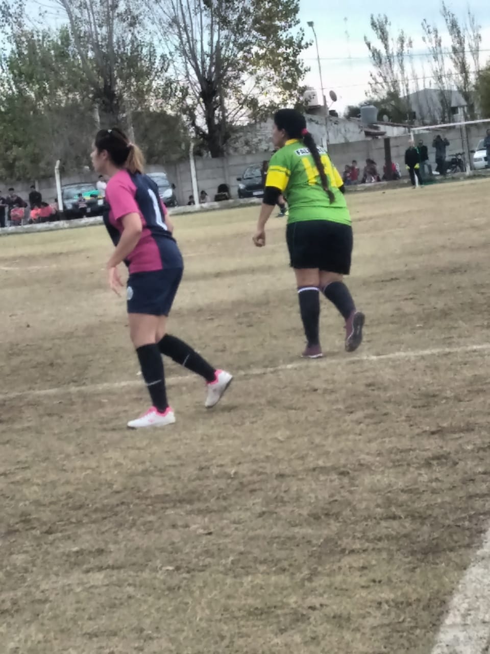 ca12d5f4-7d96-4039-ab09-c7c29b8baee2