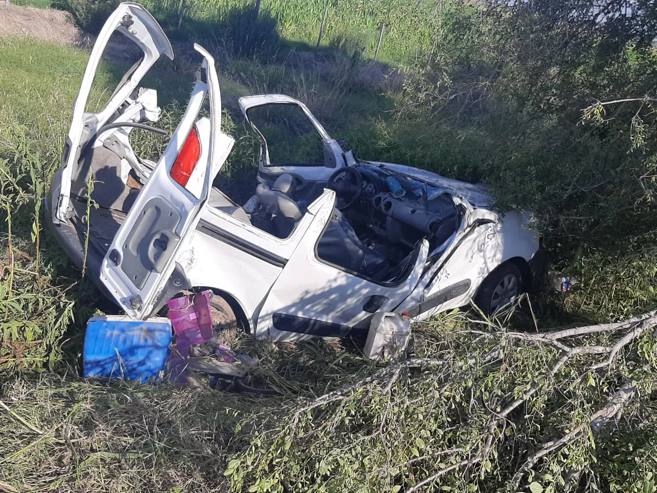 WhatsApp Image 2022-01-24 at 6.35.15 PM