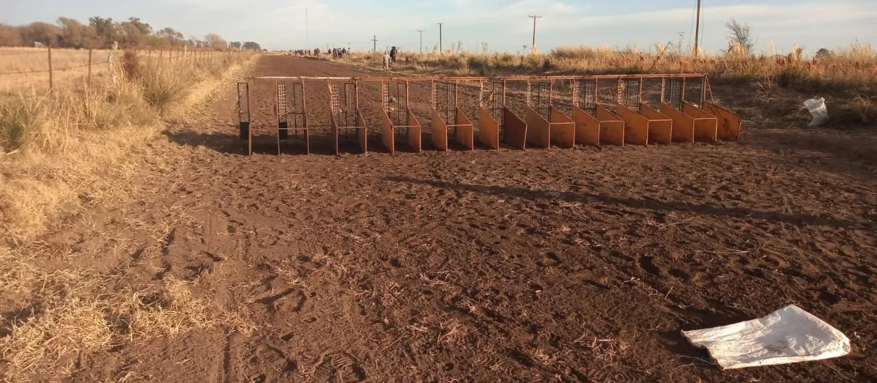 f6c83d0c-f2db-42ec-9a13-009cfab07b4b