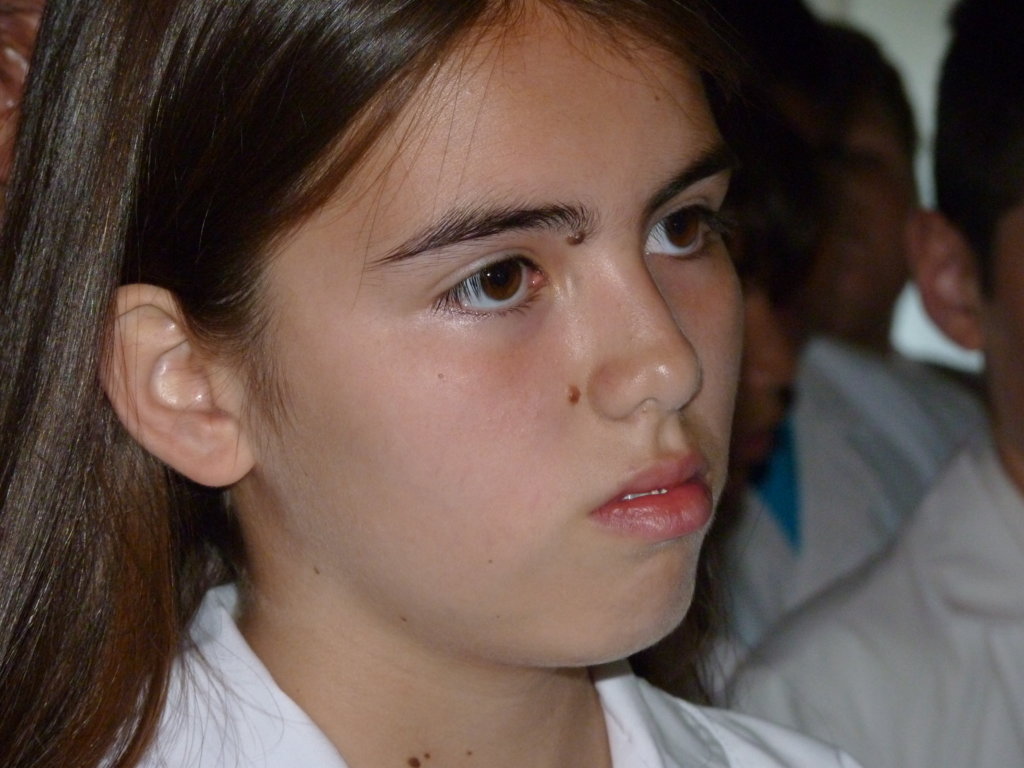 P1310183 (FILEminimizer)