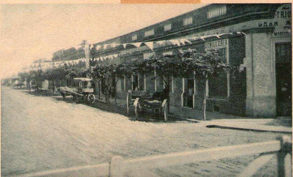 52970872_2974113535935839_4981498357768781824_n