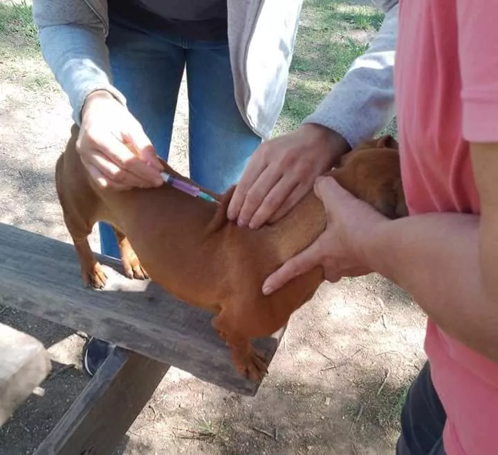 316680987_5988008541210768_5076925444637213490_n