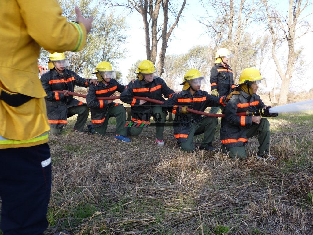 P1210584 (FILEminimizer)