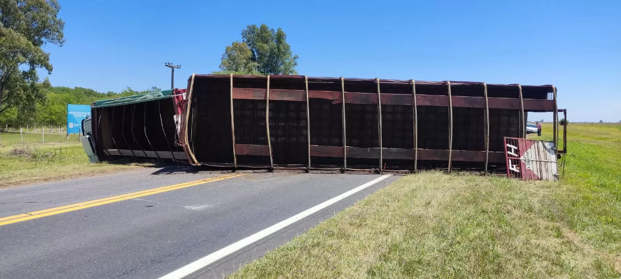 5421b341-6d54-4056-b26b-597bdb6e5c7d