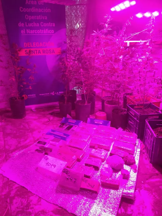 295311_img-20220509-wa0045