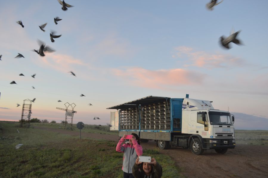 suelta palomas 2