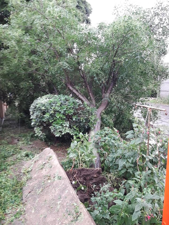 TORMENTA TESTA 1