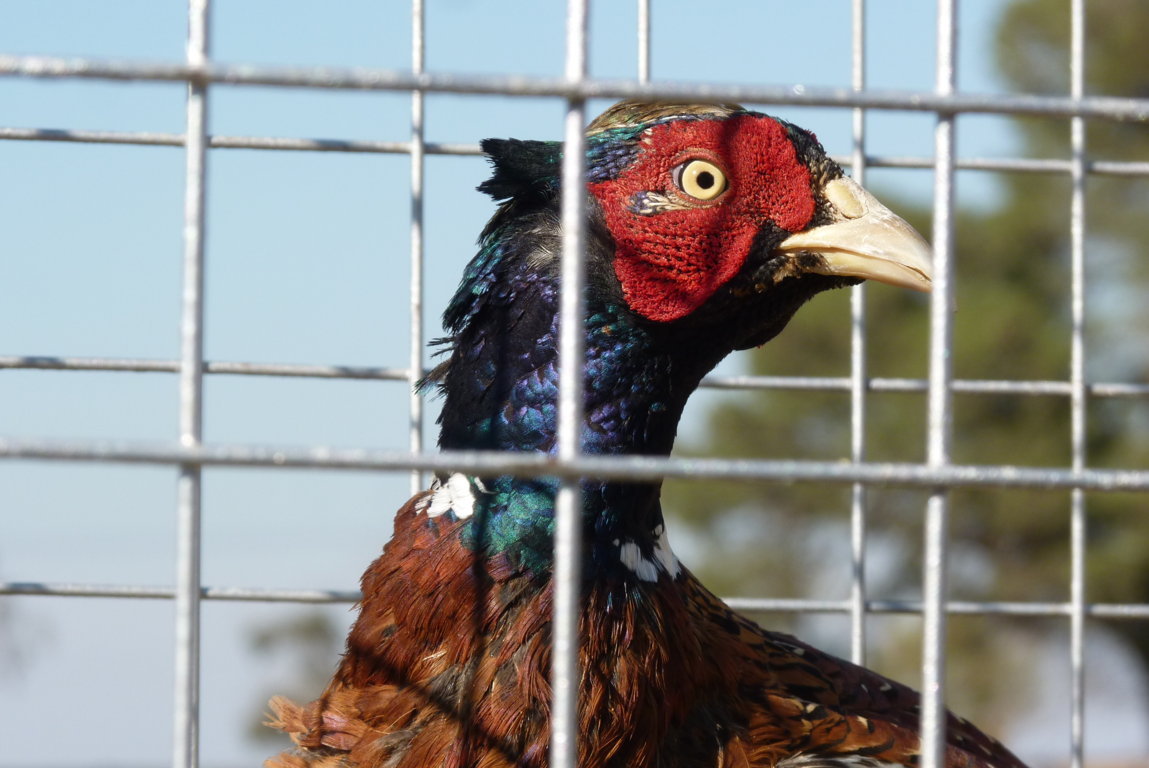 P1410670 (FILEminimizer)