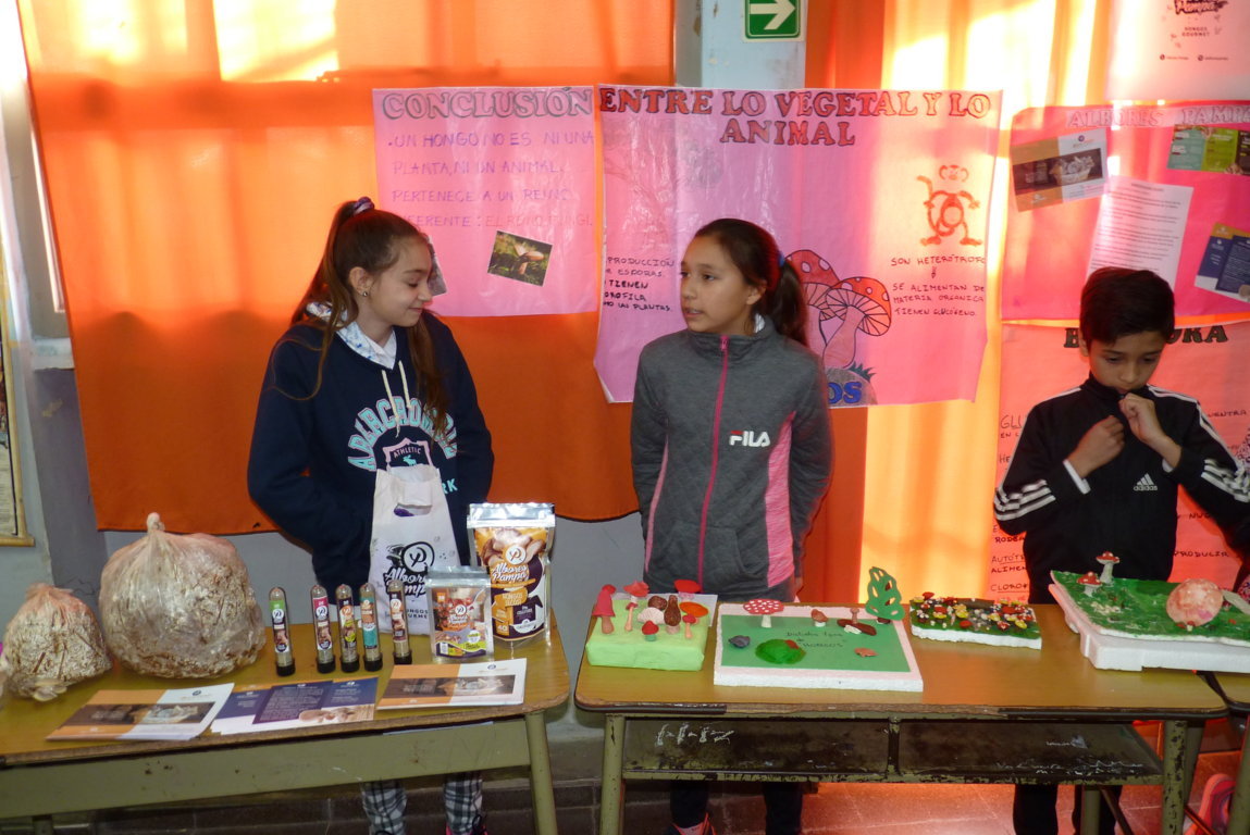 P1380493 (FILEminimizer)