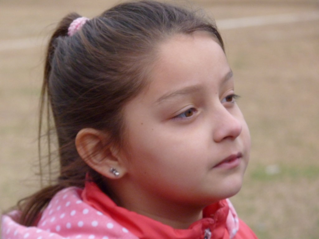 P1250523 (FILEminimizer)