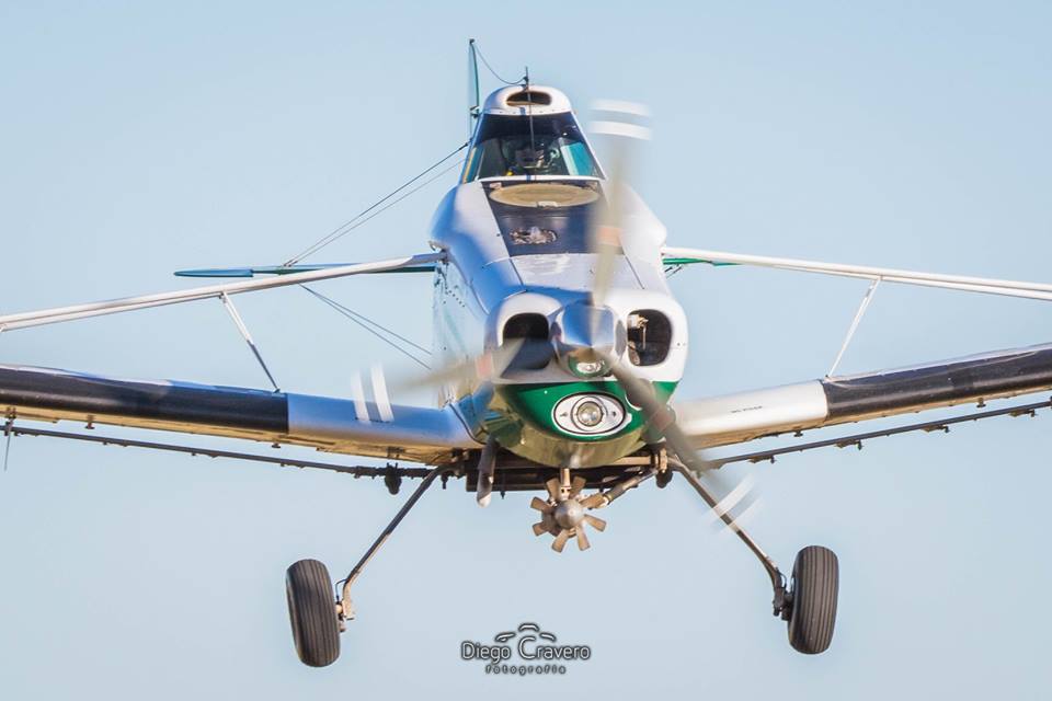 29570452_10214546256402634_4637266962871437322_n