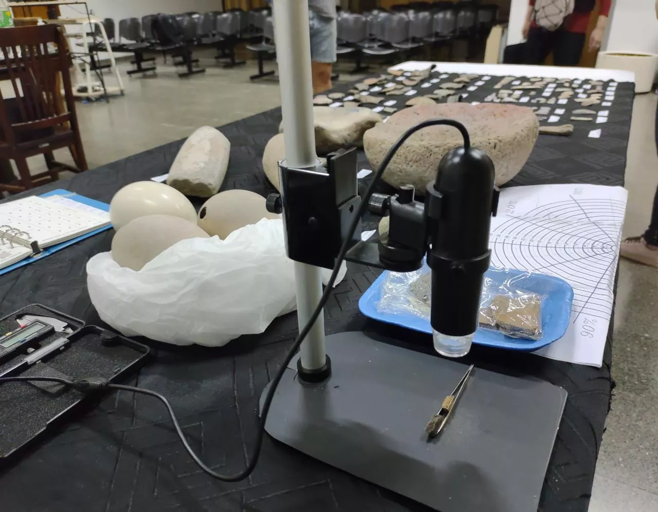 Inv arqueologicas laguna 8