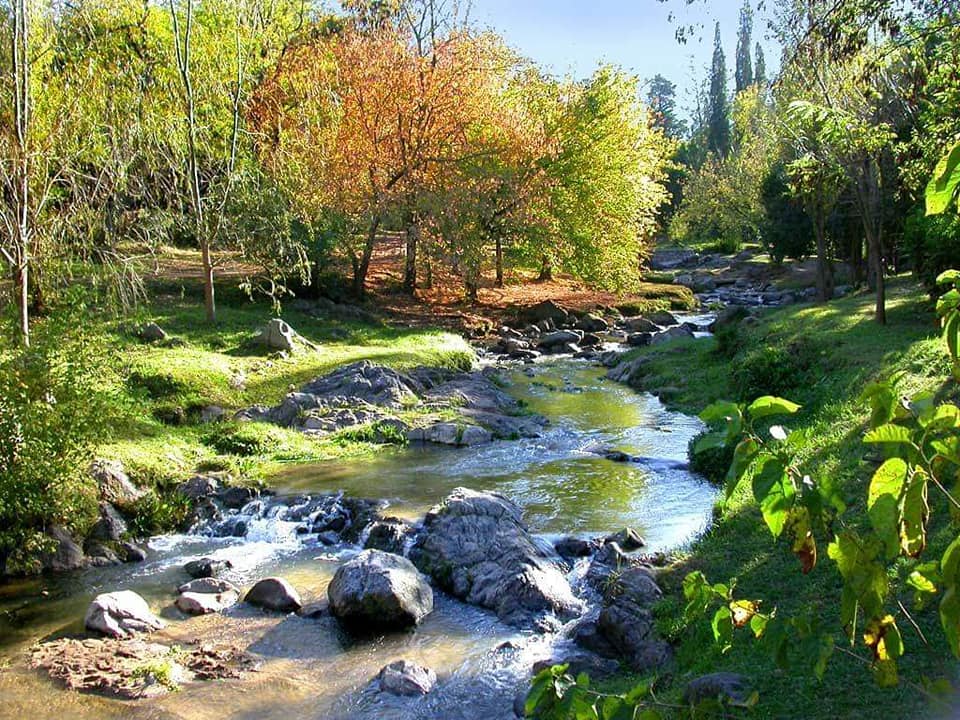 51737762_2297693693575623_1798539979224252416_n