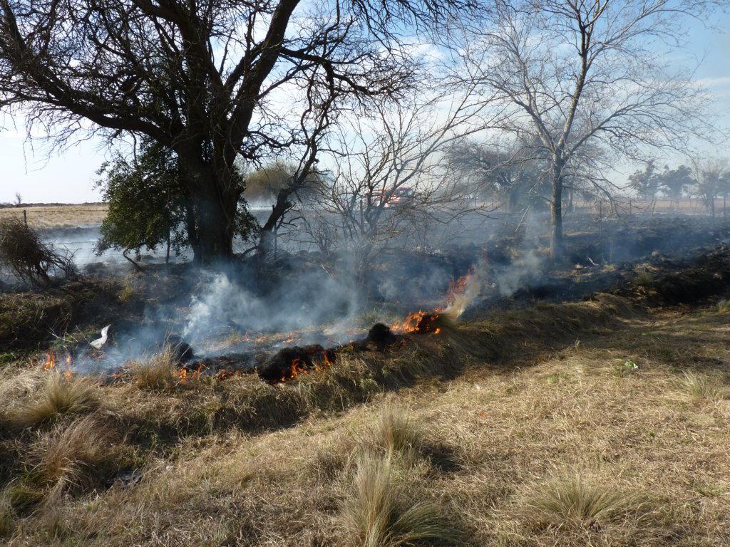 P1050796 (FILEminimizer)