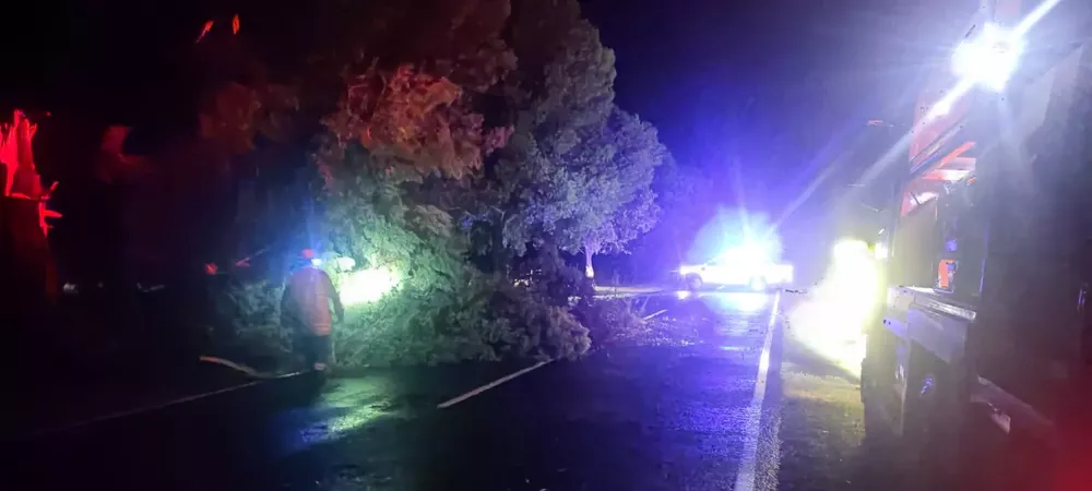 TORMENTA EMBAJADOR 1