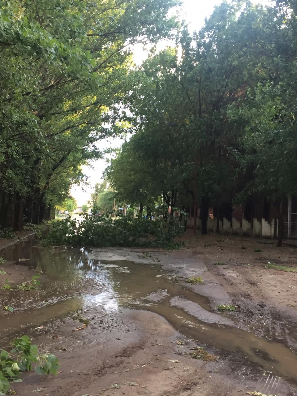 6cc4b27d-137f-430e-9e41-9fb8d8a8f3f4