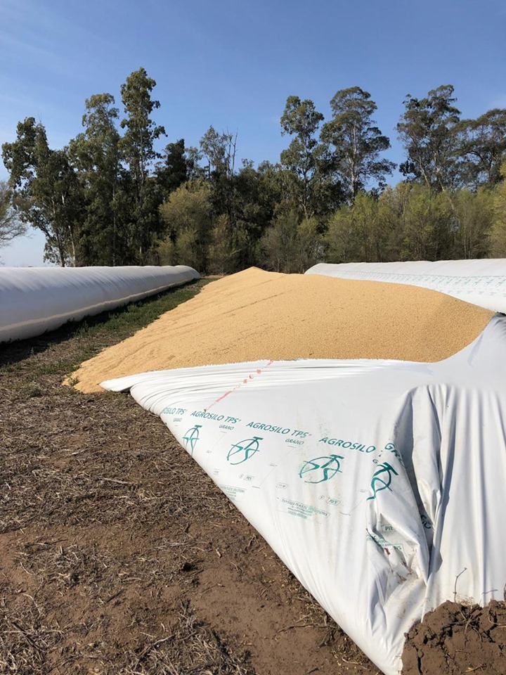 71352448_1306895232838587_1513053421454753792_n