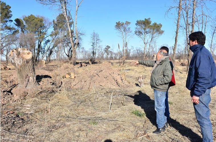 NATATORIO RECUPERACION 3