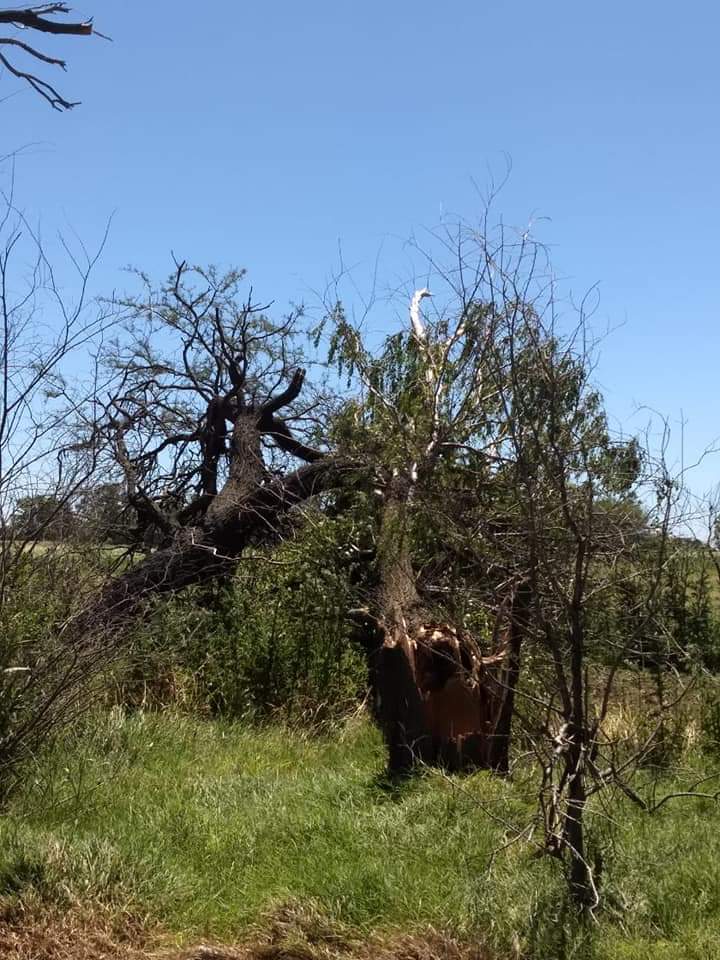 FB_IMG_1546189669653