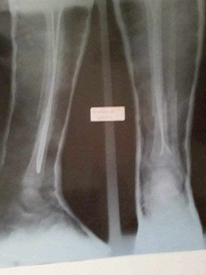 FB_IMG_1574416922208