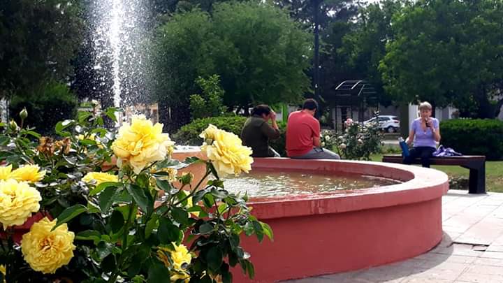 FB_IMG_1573260504333